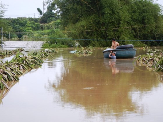 Flooding suddenly occurs in Binh Thuan ảnh 3