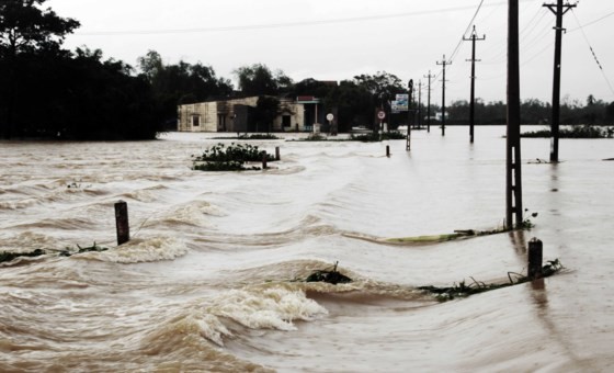 Ten thousands of houses in Binh Dinh isolated due to flooding ảnh 1