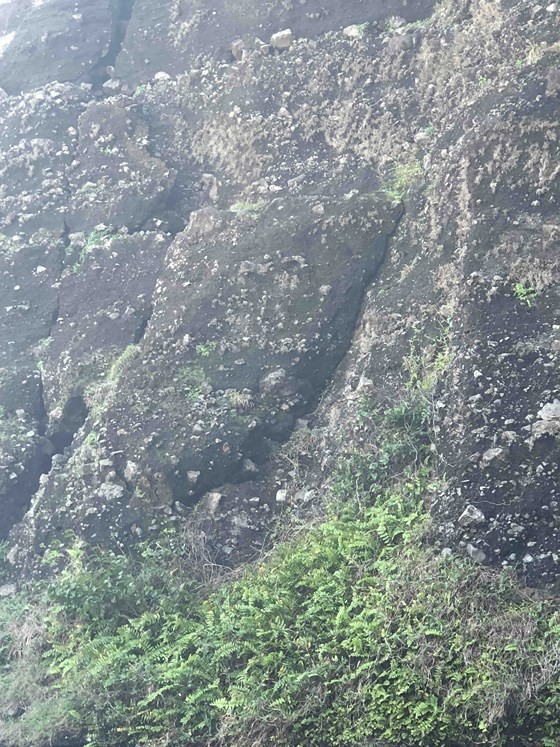 Landslide experiences in Ly Son Island ảnh 1