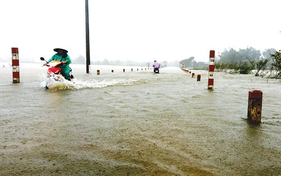 Nearly 29,000 houses moved due to huge flooding ảnh 6
