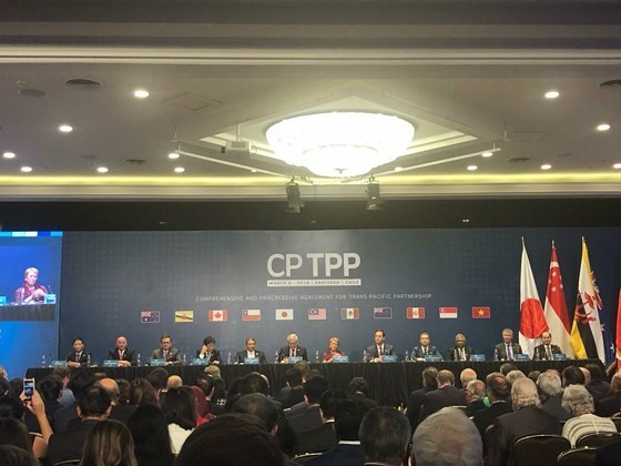 Vietnam officially joins CPTPP ảnh 1
