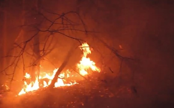 Flame destroys over 30 hectares of forest in Ta Cu Mountain Nature Reserve ảnh 1