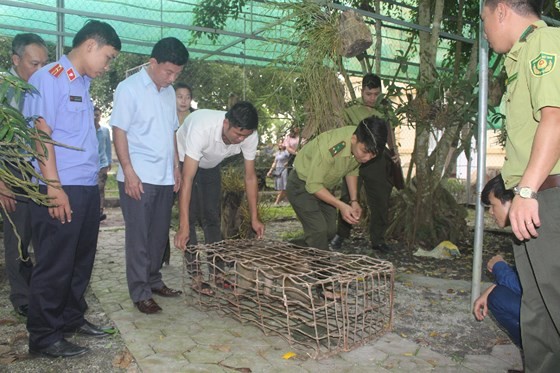 Vu Quang National Park receives rare monkey ảnh 1