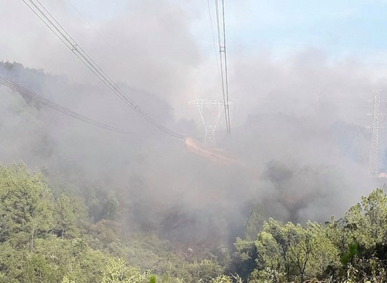 Central provinces swelter forest fire spells ảnh 1