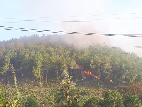Central provinces swelter forest fire spells ảnh 2