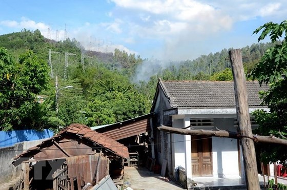 Central provinces swelter forest fire spells ảnh 4