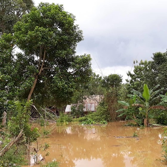 Country braces for relentless consequences from downpours, floods ảnh 1