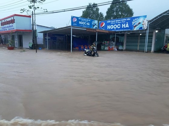 Country braces for relentless consequences from downpours, floods ảnh 3