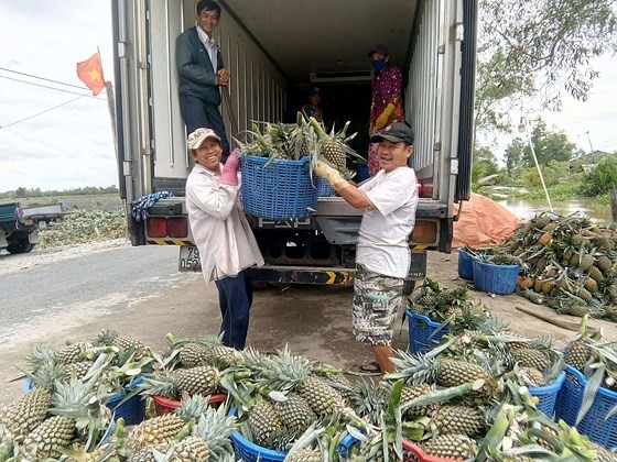 Ministry targets $4.5 billion vegetable, fruit export turnover by 2020 ảnh 1