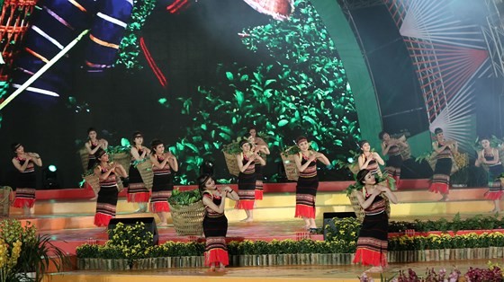 Dat Lat Flower Festival opens ảnh 7