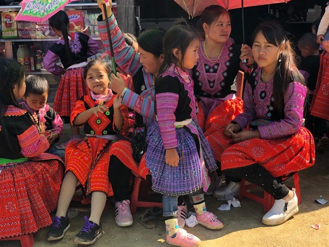 Spring in plateau ảnh 3