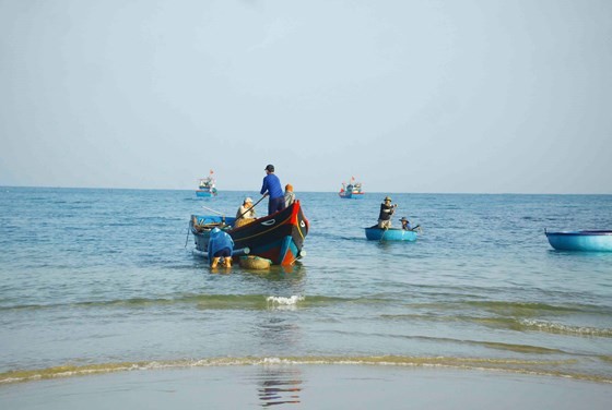 Quang Ngai fishermen enjoys bumper tiny shrimp catch yearend ảnh 2