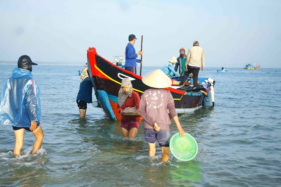 Quang Ngai fishermen enjoys bumper tiny shrimp catch yearend ảnh 3