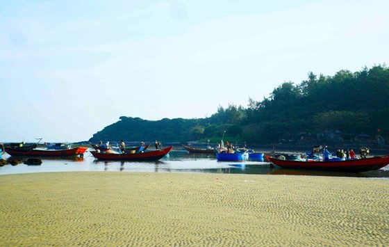 Quang Ngai fishermen enjoys bumper tiny shrimp catch yearend ảnh 9