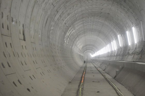 HCMC Party Chief inspects first metro line construction site ảnh 3