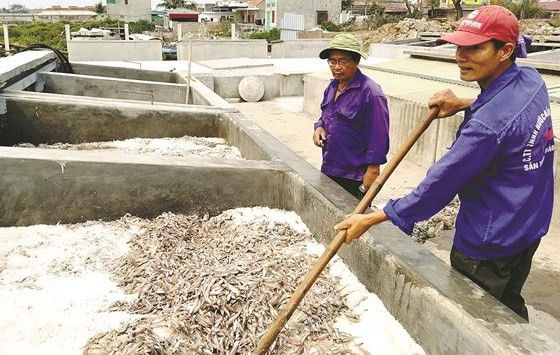 Trade villages with century history of fish sauce production ảnh 1