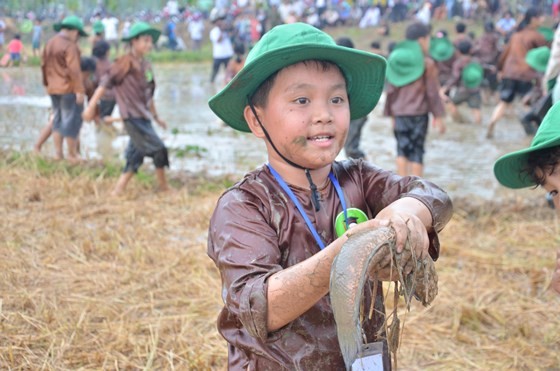 Hundreds of little farmers harvest rice in Quang Ngai province ảnh 10