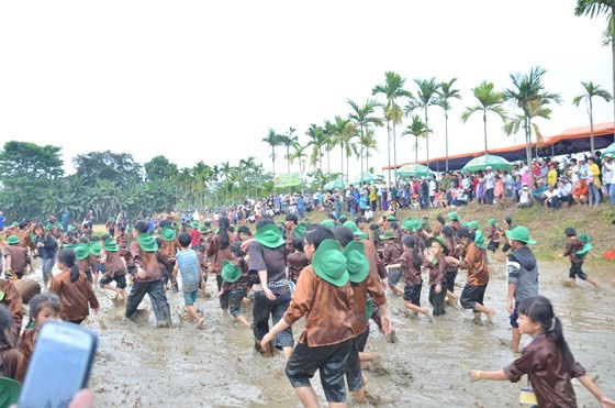 Hundreds of little farmers harvest rice in Quang Ngai province ảnh 12