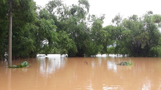 Quang Binh swamped by floodwaters ảnh 3