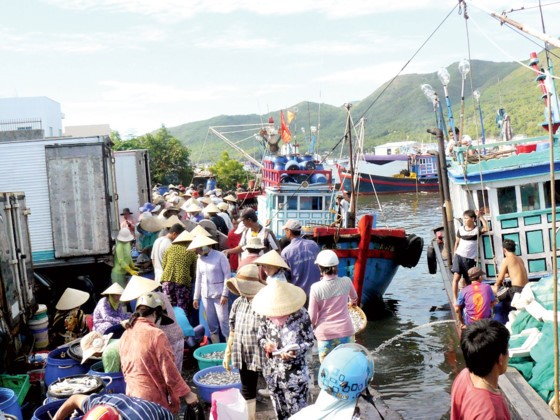 Khanh Hoa fishermen enjoy bumper catch ảnh 2