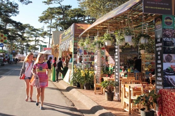 7th Da Lat Flower Festival to be launched from Dec 23-27 ảnh 3