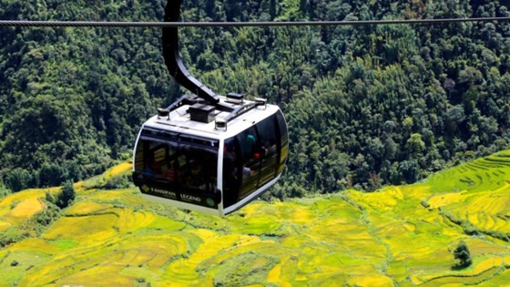 Muong Hoa Valley in ripe rice season ảnh 1