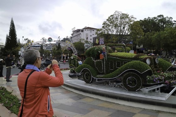 Int'l bonsai & flower exhibition opens in Dalat ảnh 2