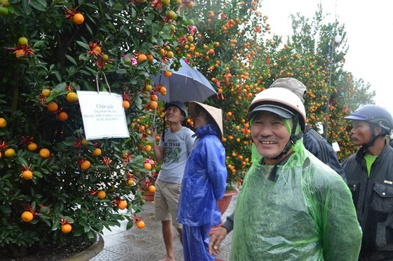 Bonsai Kumquat -Hoian 2018 launched ảnh 1