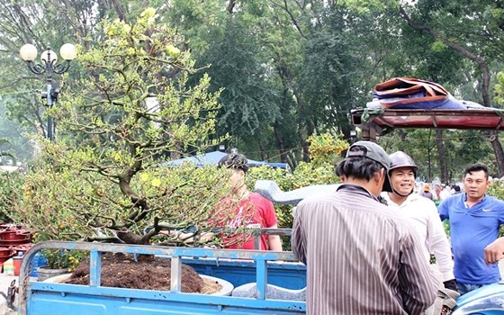 HCMC people prepare bonsai flowers for Tet ảnh 1