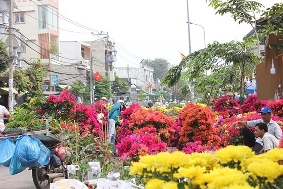HCMC people prepare bonsai flowers for Tet ảnh 2