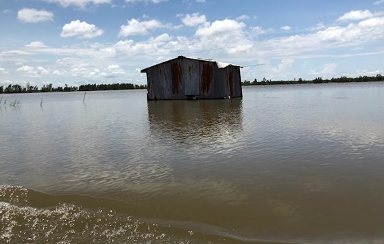 Mekong urged to deal with floods ảnh 1