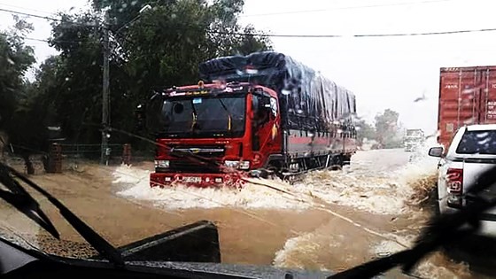 Binh Dinh province damaged seriously by heavy downpours ảnh 1