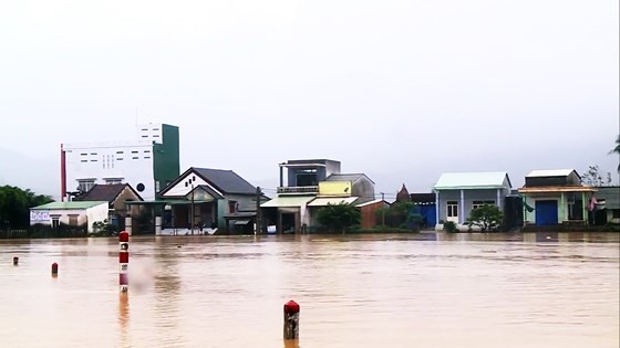 Binh Dinh province damaged seriously by heavy downpours ảnh 2