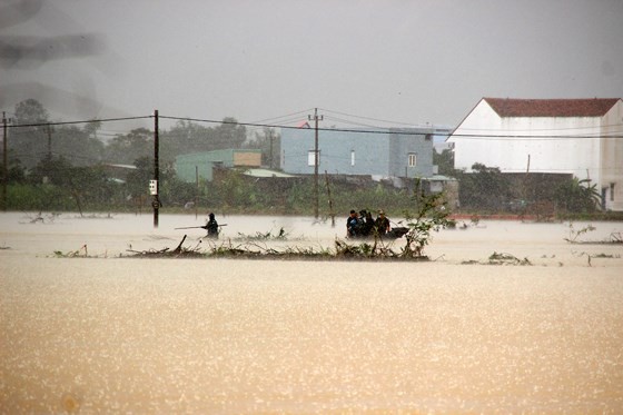 Binh Dinh province damaged seriously by heavy downpours ảnh 4