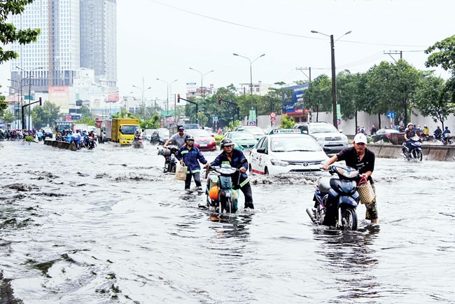 Kỳ họp thứ 9 HĐND TPHCM khóa IX: Nóng vấn đề đô thị ảnh 1