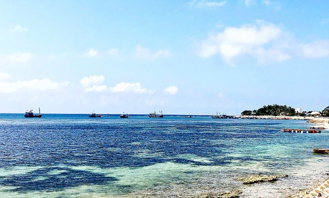 “Cởi trói” cho Lý Sơn ảnh 1