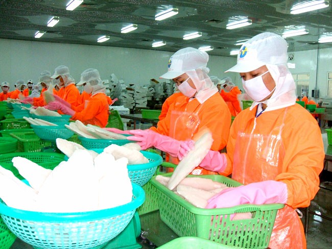 Xuất khẩu cá tra hướng tới mục tiêu 2,4 tỷ USD ảnh 1