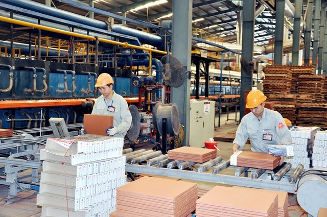 Khẳng định vai trò KTTN ảnh 1
