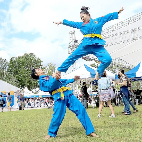 Ho Chi Minh City to host 2015 International Martial Arts Festival