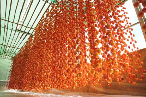 Nghề làm hồng treo đặc sản Đà Lạt ảnh 10