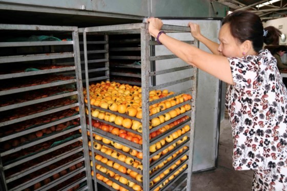 Nghề làm hồng treo đặc sản Đà Lạt ảnh 4