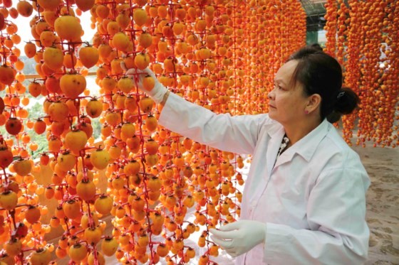 Nghề làm hồng treo đặc sản Đà Lạt ảnh 9