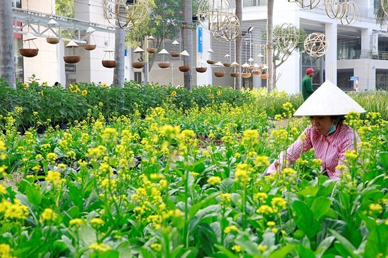Há»i chợ hoa xuân Phú Mỹ Hưng Tết Ká»· Hợi: Hoa và cuá»c sá»ng ảnh 3