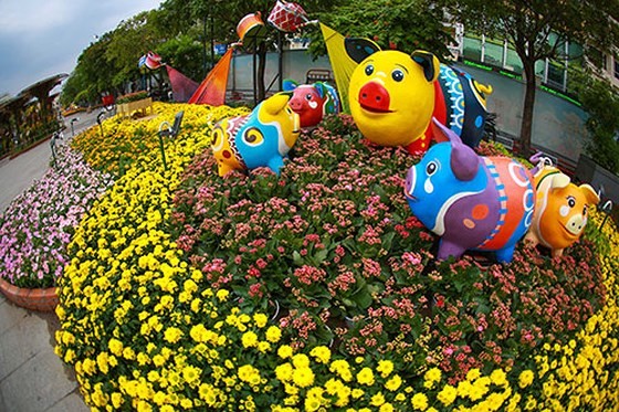 ÄÆ°á»ng hoa Nguyá»
n Huá» nÄm 2019 nhìn từ trên cao ảnh 8