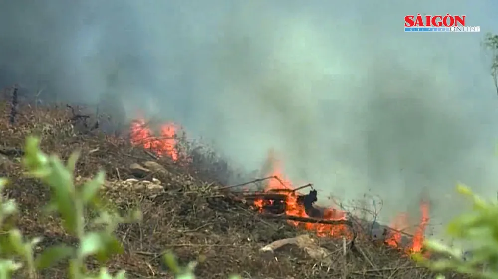 Đến lượt rừng thông ở Quảng Bình bốc cháy ngùn ngụt