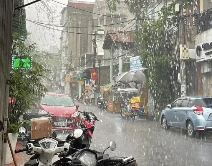 Podcast bản tin trưa 10-1: Khu vực Bắc Bộ và Bắc Trung Bộ trời rét, vùng núi có nơi dưới 10 độ C;