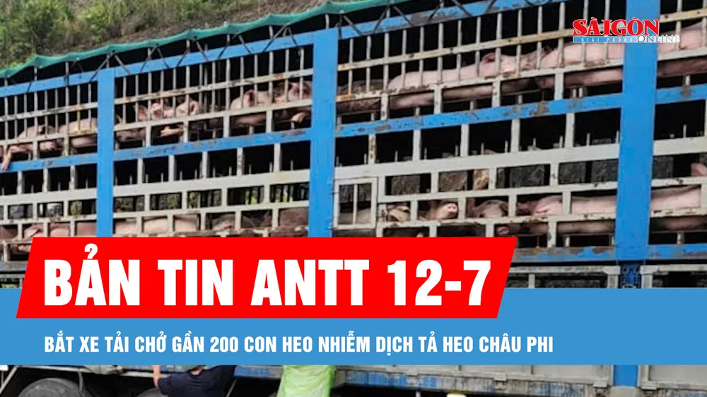 Bản tin ANTT 12-7: Bắt xe tải chở gần 200 con heo nhiễm dịch tả heo châu Phi
