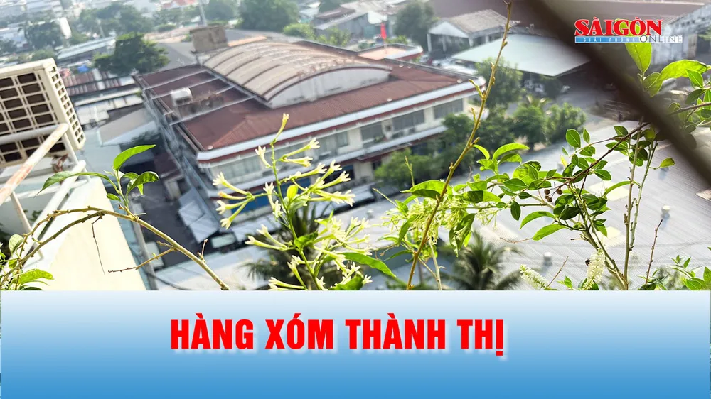 Podcast: Hàng xóm thành thị