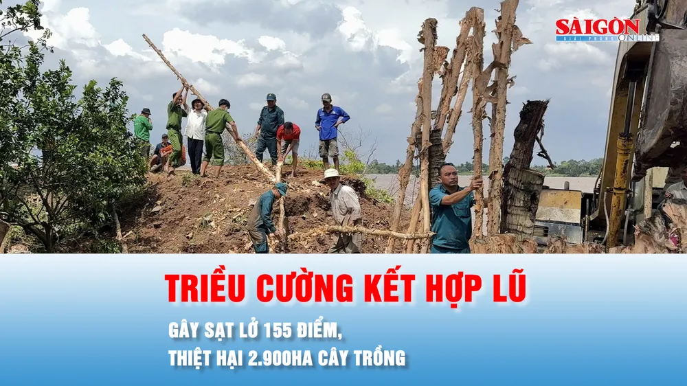 Podcast bản tin tối 25-10: Triều cường kết hợp lũ gây sạt lở 155 điểm, thiệt hại 2.900ha cây trồng