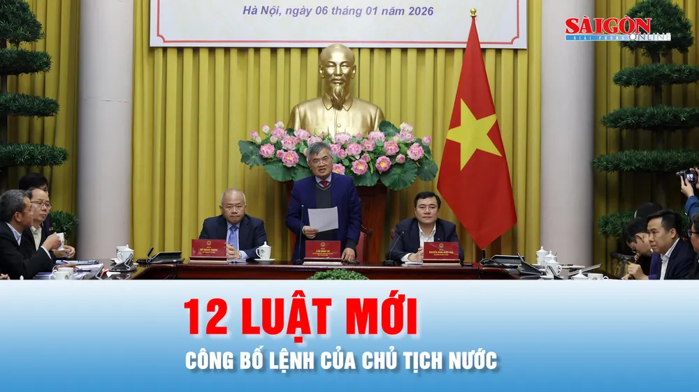 Podcast bản tin 17 giờ 6-1: Công bố Lệnh của Chủ tịch nước về 12 luật mới